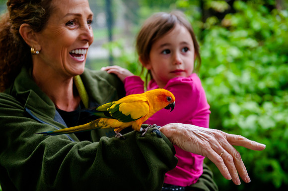 Family Outing at Tracey Aviary-1653