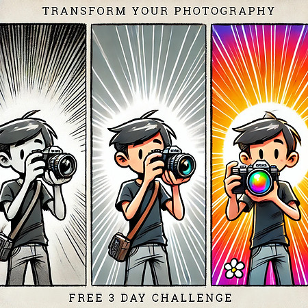 DALL·E 2025-01-06 18.38.41 - A cartoon-style three-panel sketch showing the transformation of a beginner photographer gaining confidence and skill.