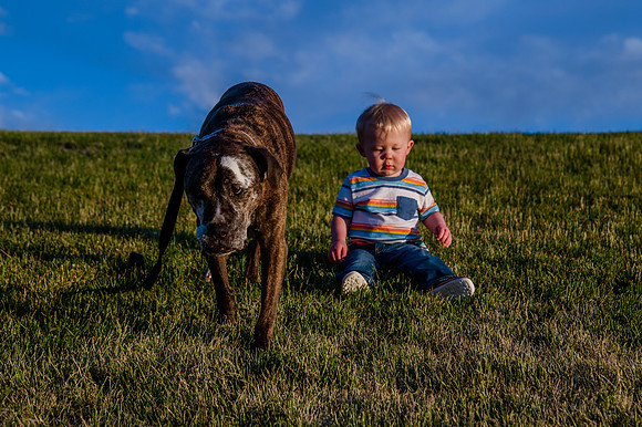 Stark_DSC1093