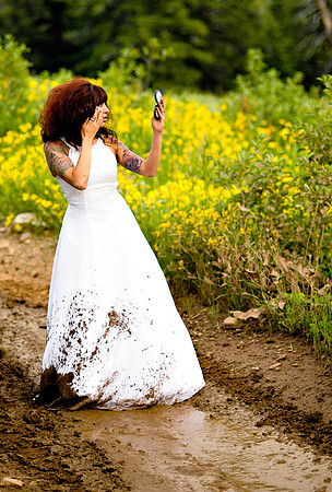 Beesh_1171 copy