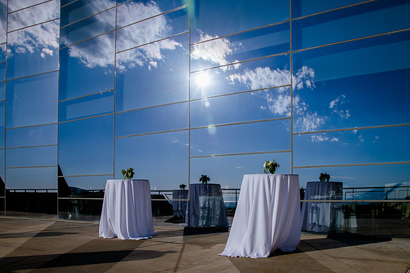 Pierpont Place Wedding at Natural History Museum 8935