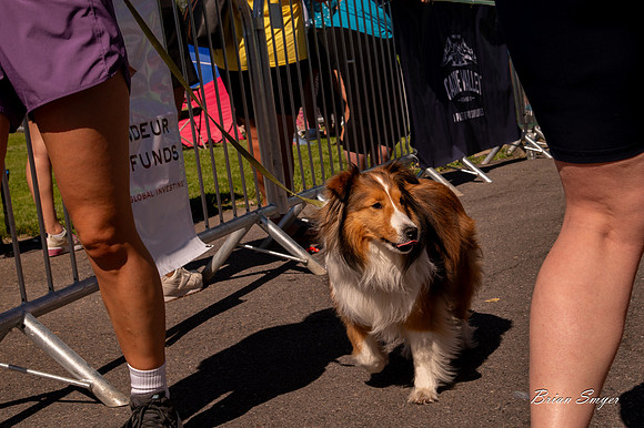 Girls on the Run Utah 5K at Sugarhouse Park7753