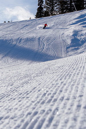 Freeride Snowbasin90732