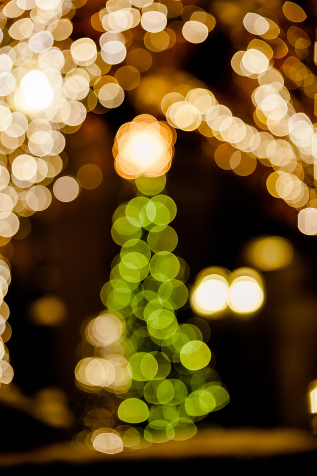 Artsy Fartsy Bokeh Tree