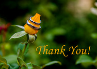 Thank you 2