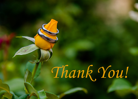 Thank you 2