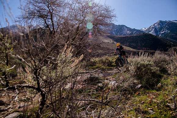 Velo 202138405