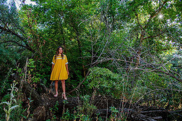 327Family Portraits at Wheeler Farm