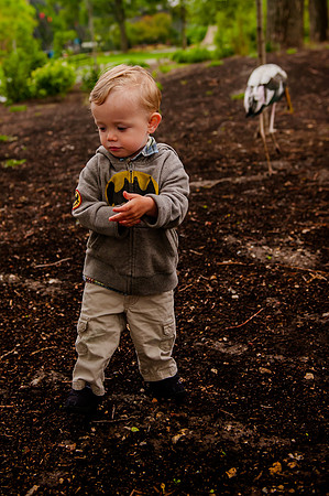 Family Outing at Tracey Aviary-1800