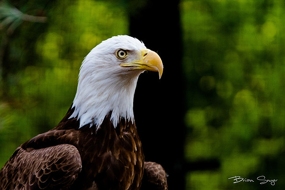 Ready to Hatch 2019_DSC7942