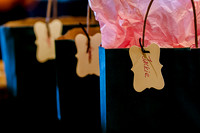 Snowbasin Wedding- Photographer Brian Smyer-20