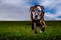 Stark_DSC0250