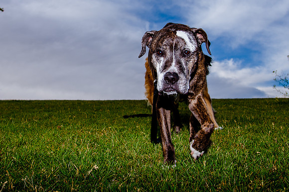 Stark_DSC0250