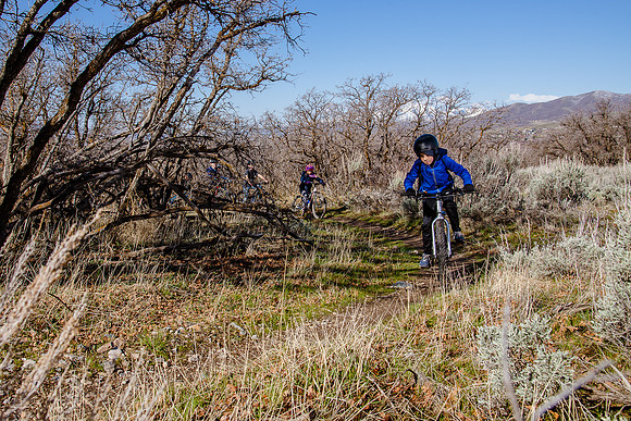Velo 202138281
