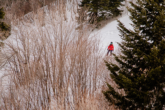 Freeride Snowbasin90608