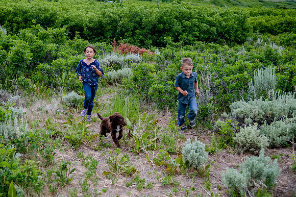 Provo Canyon 6-25-20207924