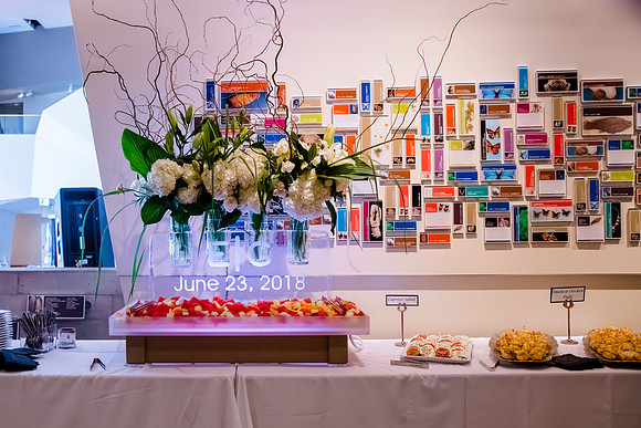 Pierpont Place Wedding at Natural History Museum 8871