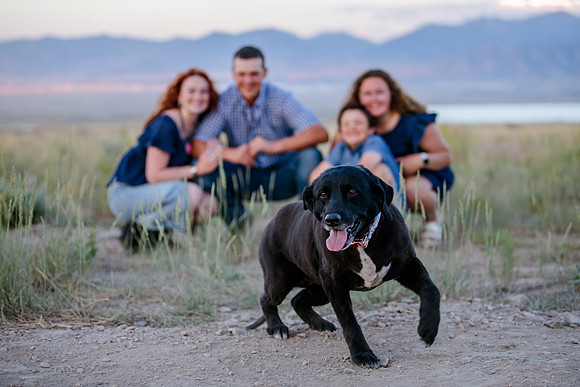 Lund Family Photo Session: Capturing Memories in the West Utah Desert at Sunset