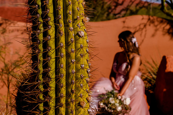Wedding at Entrada30410