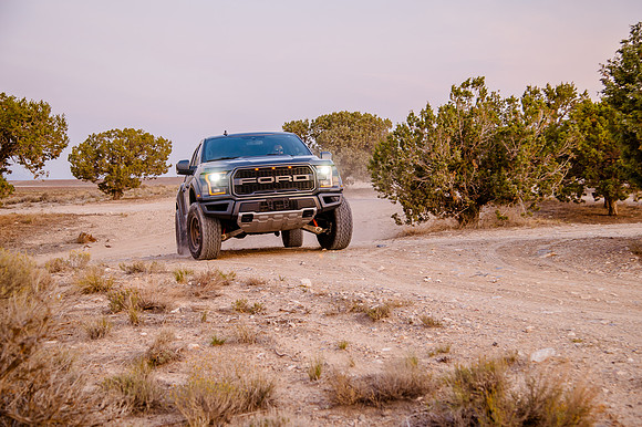 Raptor68575