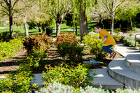 Starke Family at Memory Grove_DSC3782