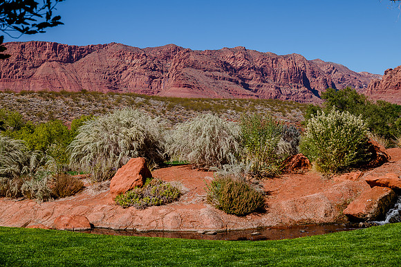 Wedding at Entrada29762