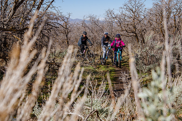 Velo 202138311
