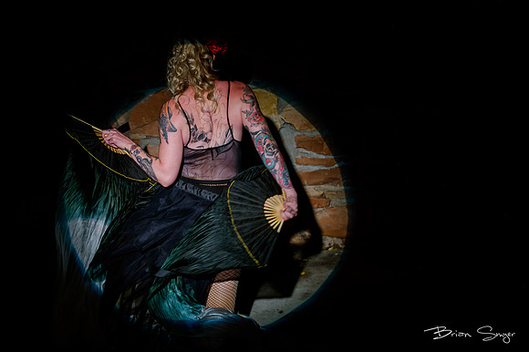 Birdlesque56642