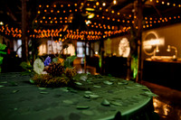 Sundance Soirée at Pierpont Place017173
