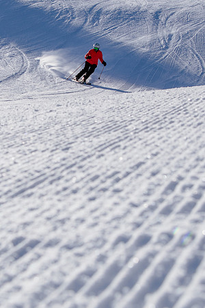 Freeride Snowbasin90736