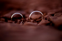 _DSC7037