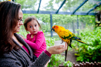 Family Outing at Tracey Aviary-1505