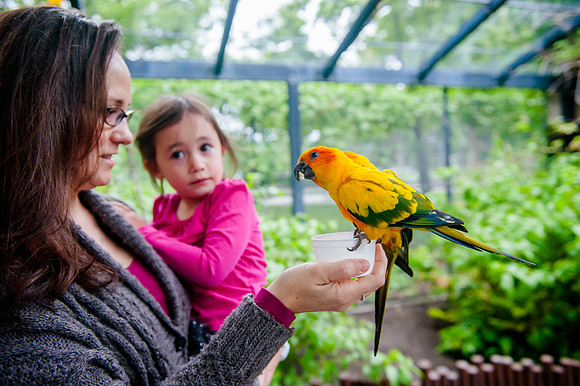 Family Outing at Tracey Aviary-1505