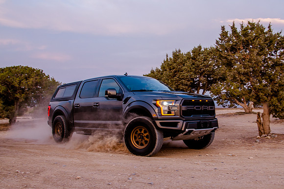 Raptor68440