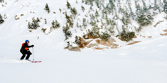 Trees, Rocks and Powder