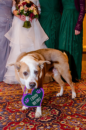 Glenn and Jenna wedding day 12-30-16-2435