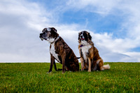 Stark_DSC0202