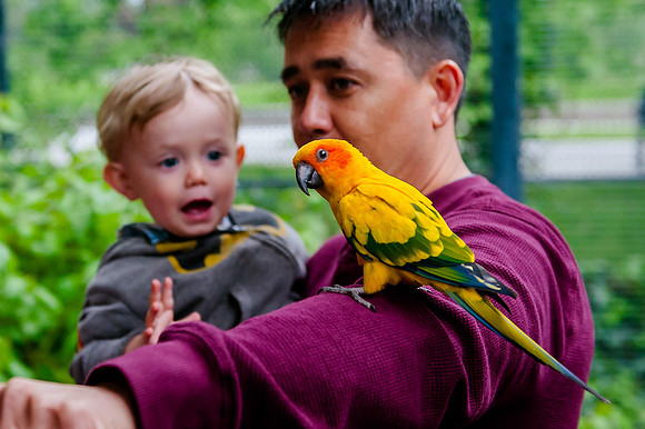 Family Outing at Tracey Aviary-1689