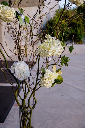 Pierpont Place Wedding at Natural History Museum 8982
