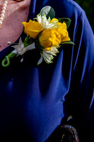 _DSC3579