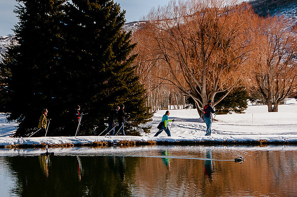 XC skiing with reflections and a duck