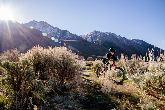 Velo 202138133