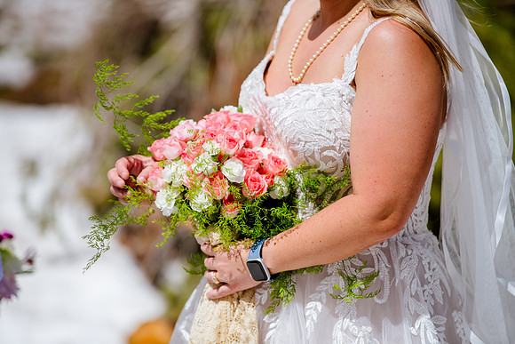 now in June: Megan Collins and Seth Underwood's Mountain Wedding