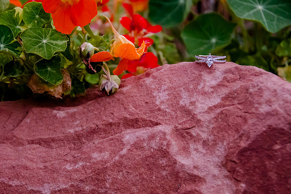 Cody Proposes at Red Butte Garden-8589