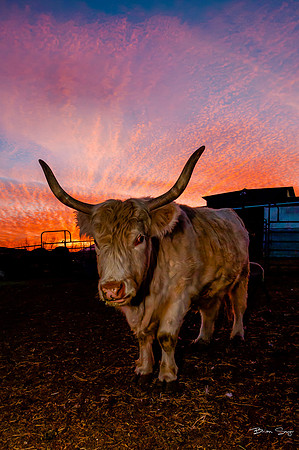 Brian Smyer's 2013 editor's picks--18