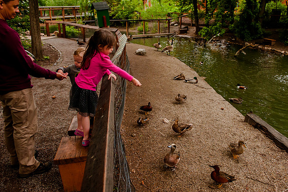 Family Outing at Tracey Aviary-1861
