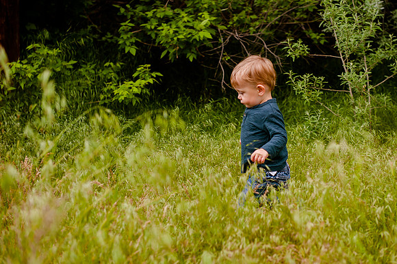 Wheeler Farm-2337