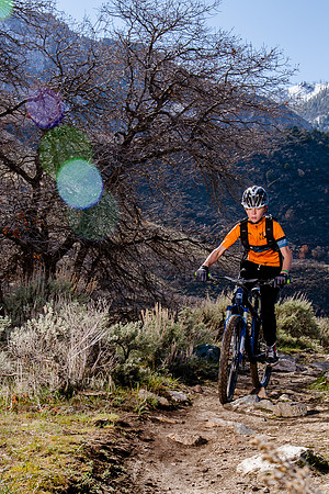 Velo 202138351