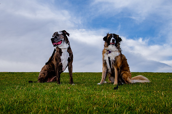 Stark_DSC0215