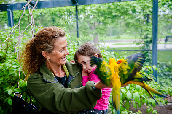 Family Outing at Tracey Aviary-1577